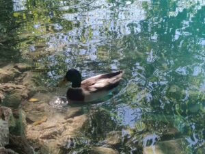 Plitvice
